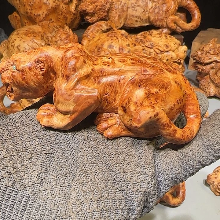 柏木由太行崖柏豹子