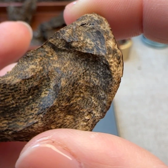 用***6沉香摆件霸王岭包头3克沉水