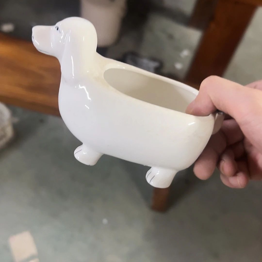 福利局绿植多肉盆［凑9元包邮24小时发］