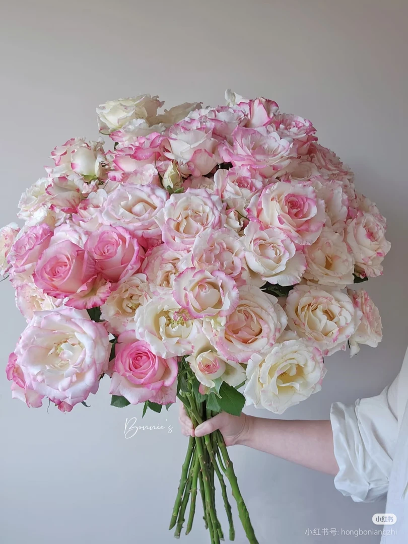 多头霓裳10支 两单包邮一单或低温不拍保温冻坏不售后