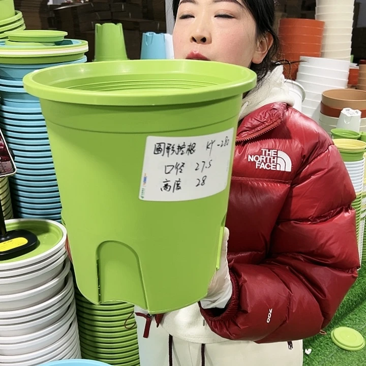 正品圆控口27.5高28果绿5只无托