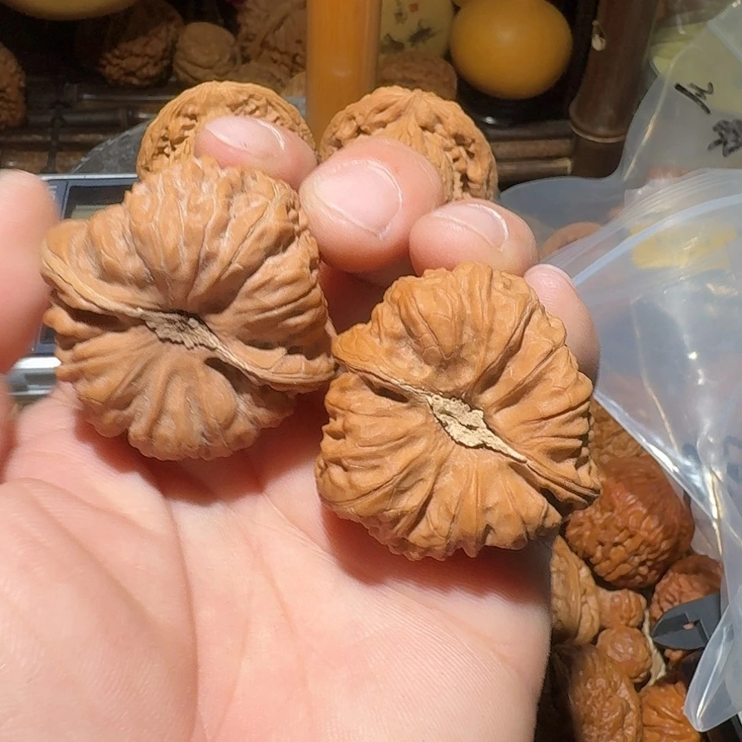 核桃全品平谷大奥迪 练手对子