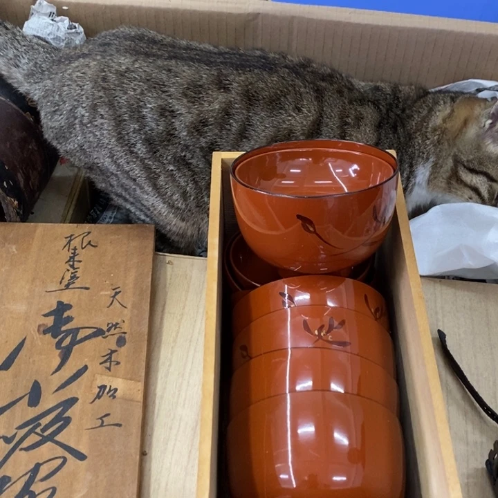 玲珑堂陶瓷茶具日化*️****