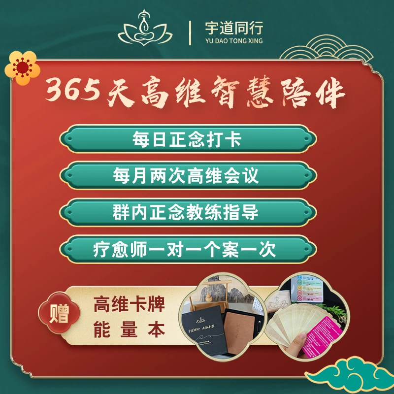 能量本+高维卡牌（陪跑365天）