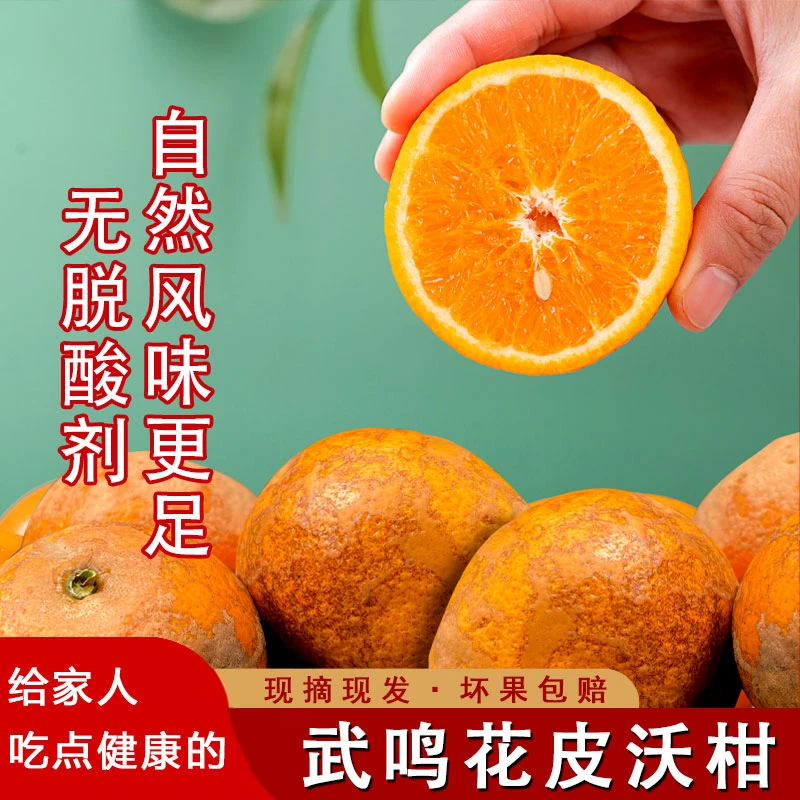R广西武鸣花皮沃柑5/9斤现摘当季水果香甜饱满皮薄汁多桔橘子产地