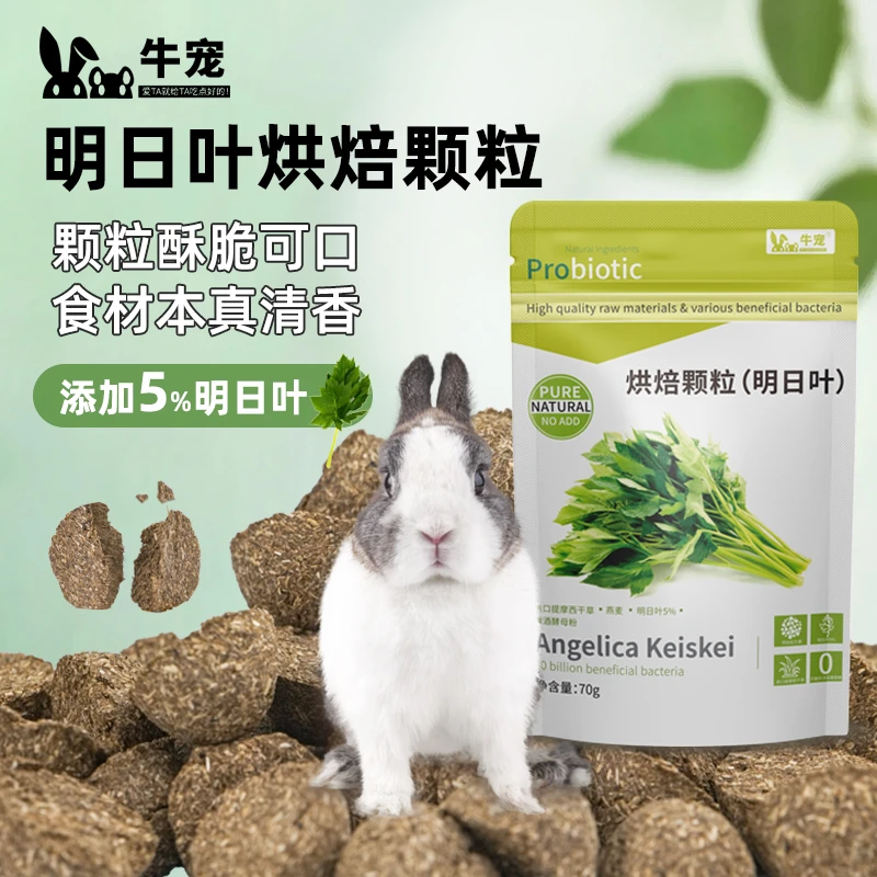 牛宠牛宠零食明日叶豚鼠荷兰猪营养仓鼠粮食龙猫零食兔粮明日叶