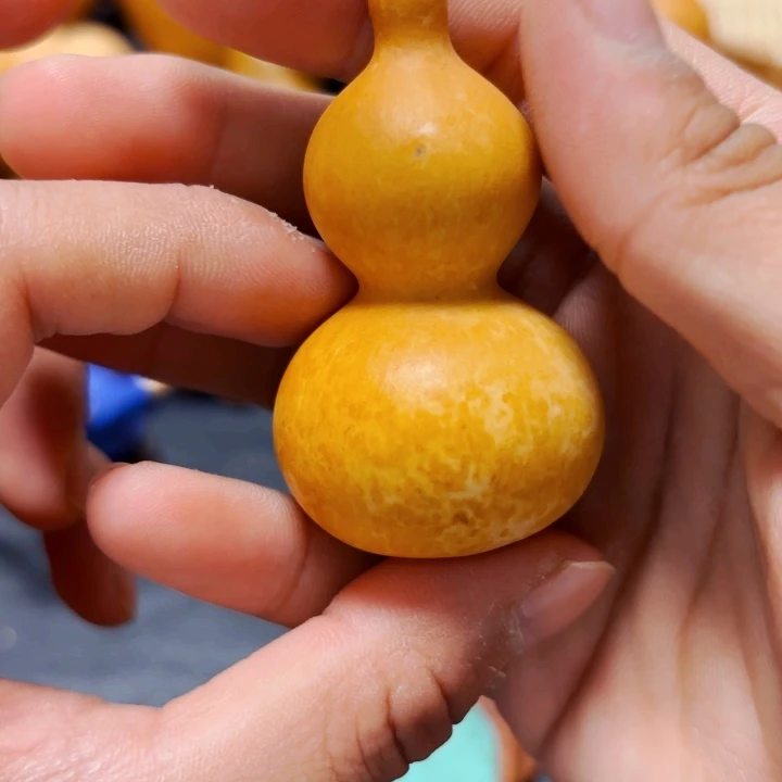 豆*喵8888888888888888888