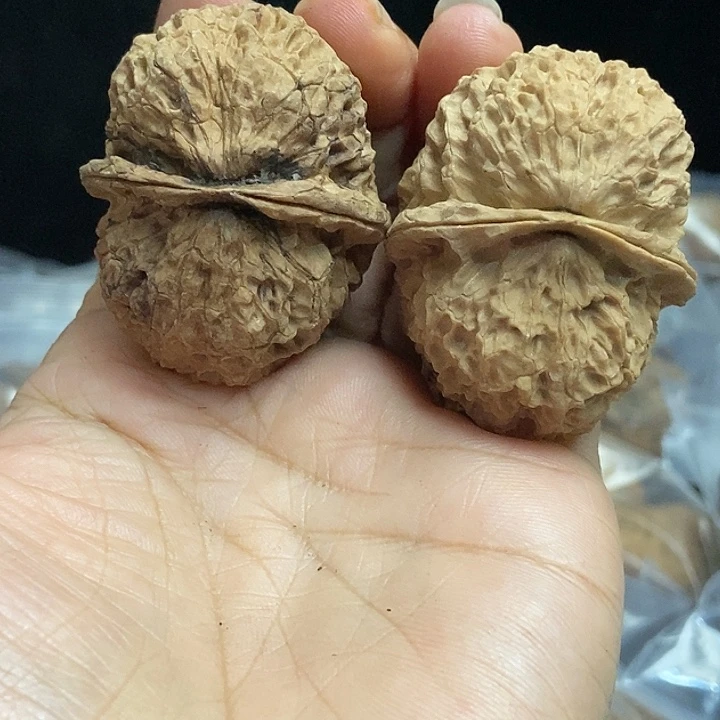 把件文玩核桃云南铁核桃基地67