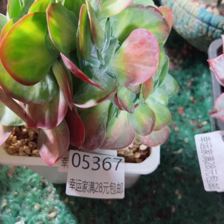 幸运的是我没有遇到