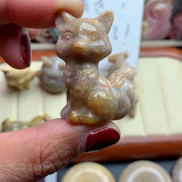 硅化珊瑚（珊瑚玉）颈饰未镶嵌