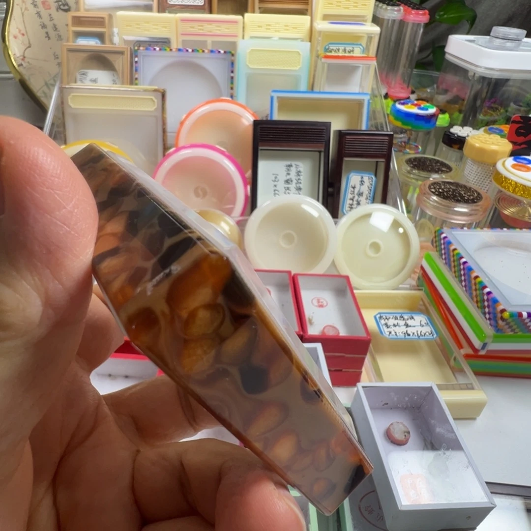 叉***哥蟋蟀一个黄蛉盒盒