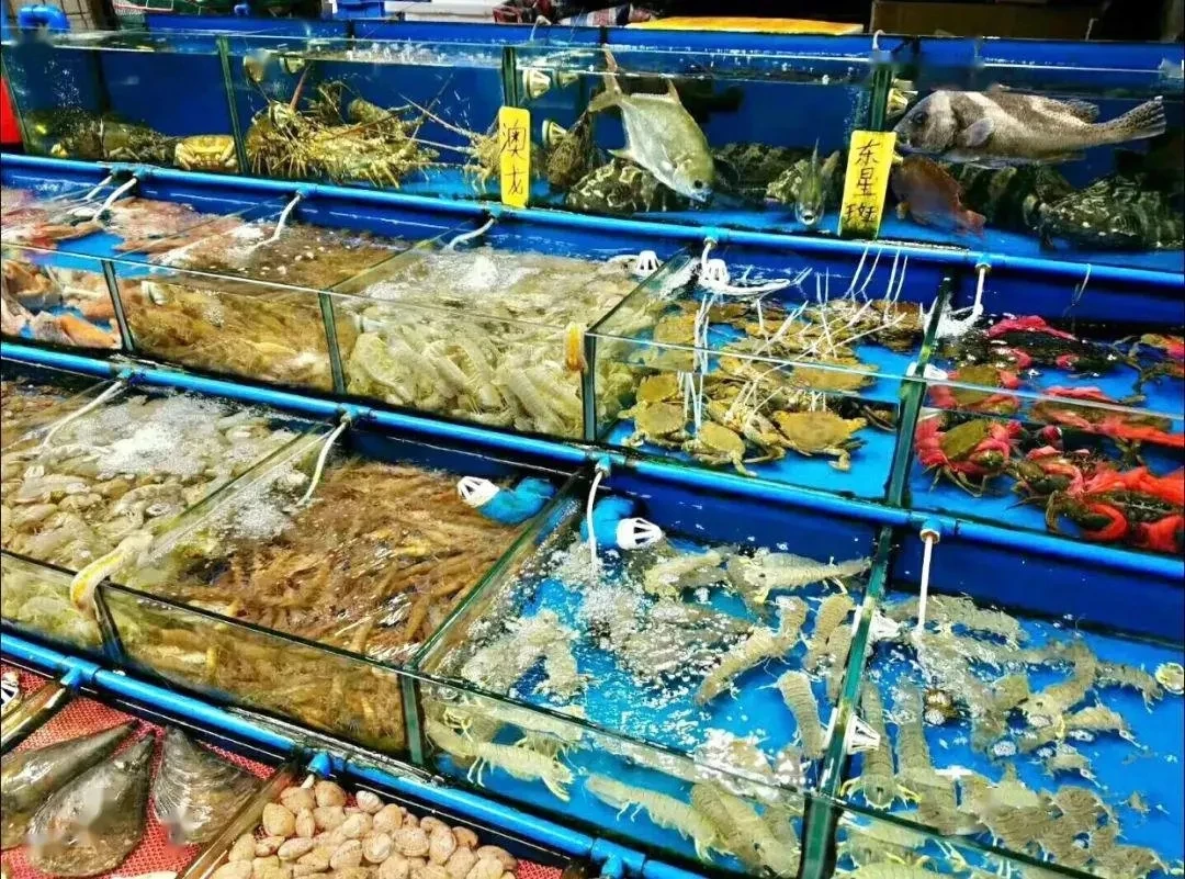 （拆包） 海鲜市场日谷大跳价  收藏（盲盒代拆）