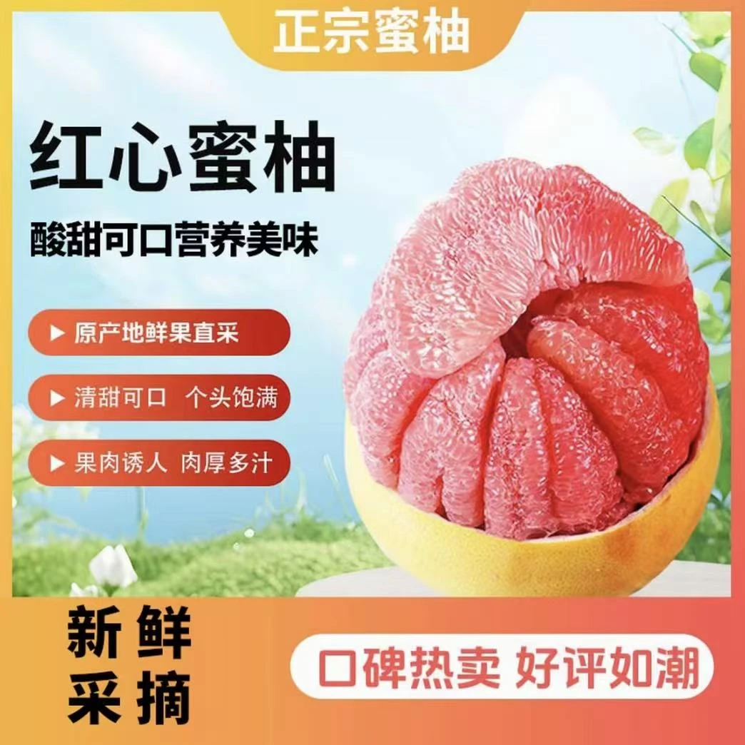 H【十年老树】JY福建平和蜜柚 红肉柚子当季整箱新鲜现发