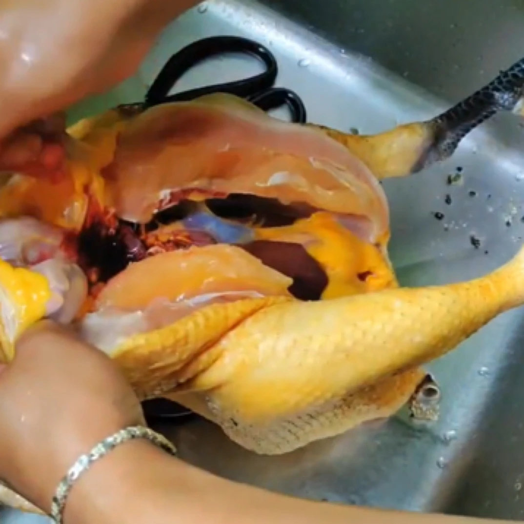 凉山高寒地区老品种活鸡现宰鲜鸡肉(公鸡5斤/母鸡4斤)