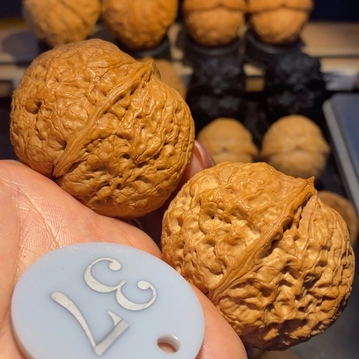 核桃麒麟狮子王尺寸46