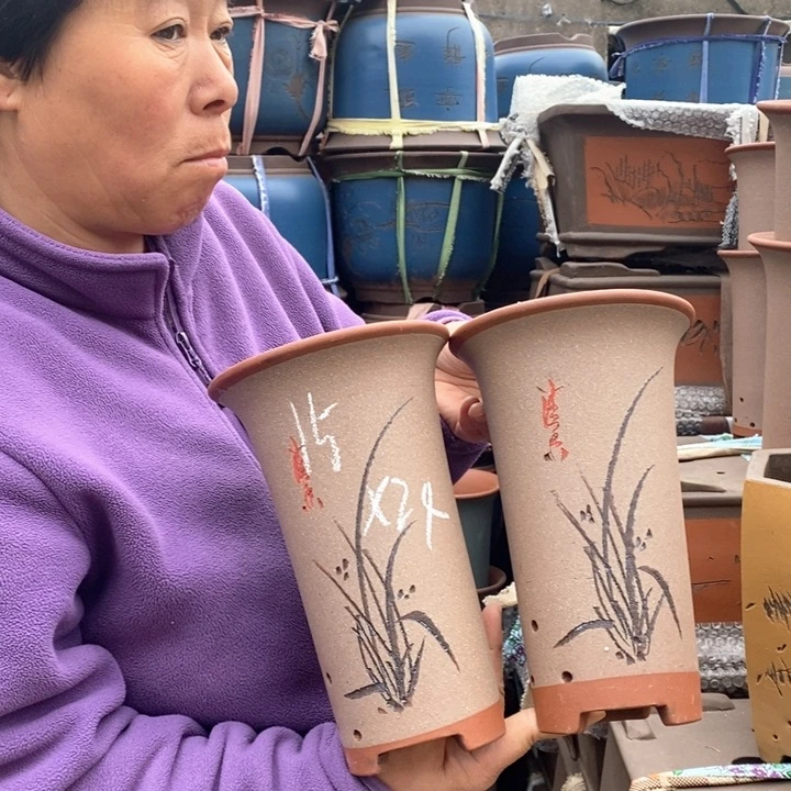 紫砂花盆盆栽花卉苗木种植