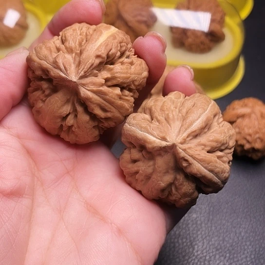 文玩核桃霸王龙三棱