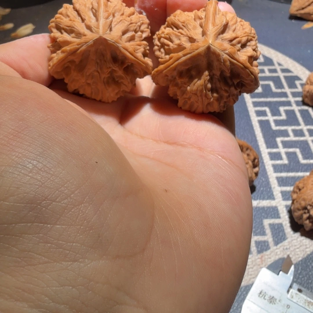 文玩核桃把件御龙正奔