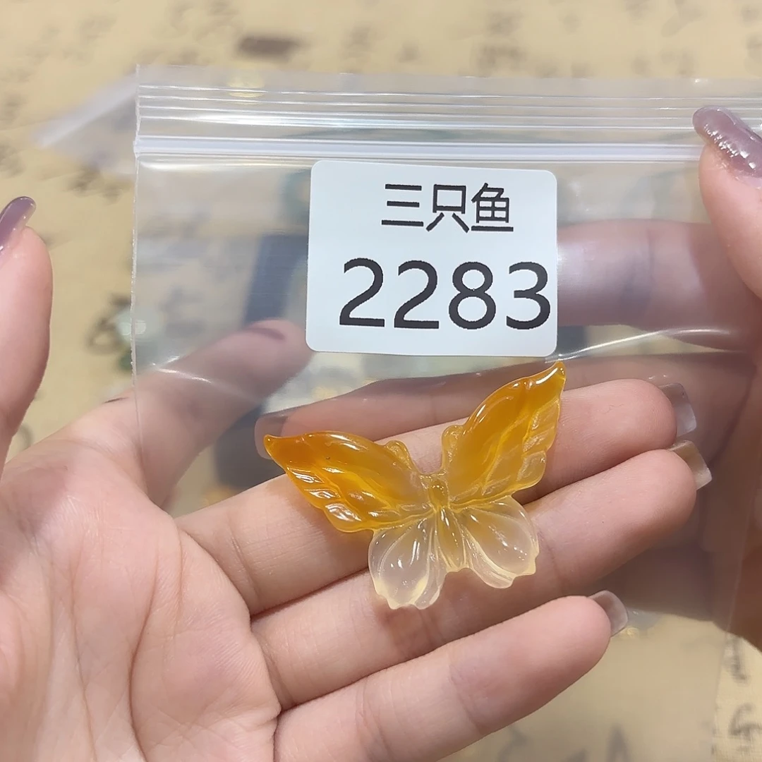鹿***秋玛瑙/玉髓未镶嵌颈饰