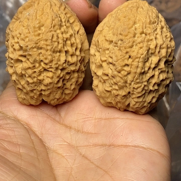 把件文玩核桃云南铁核桃79