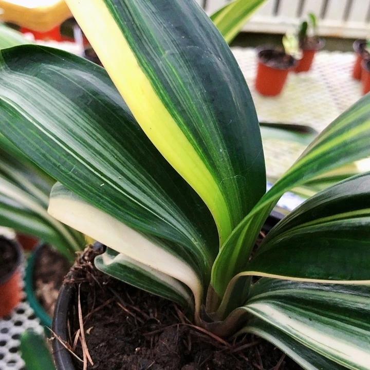 【闪购商品】用****7