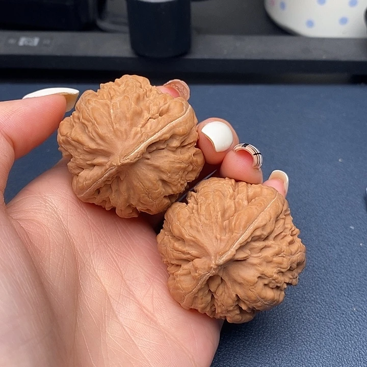 侯***言霸王龙全品无刀休