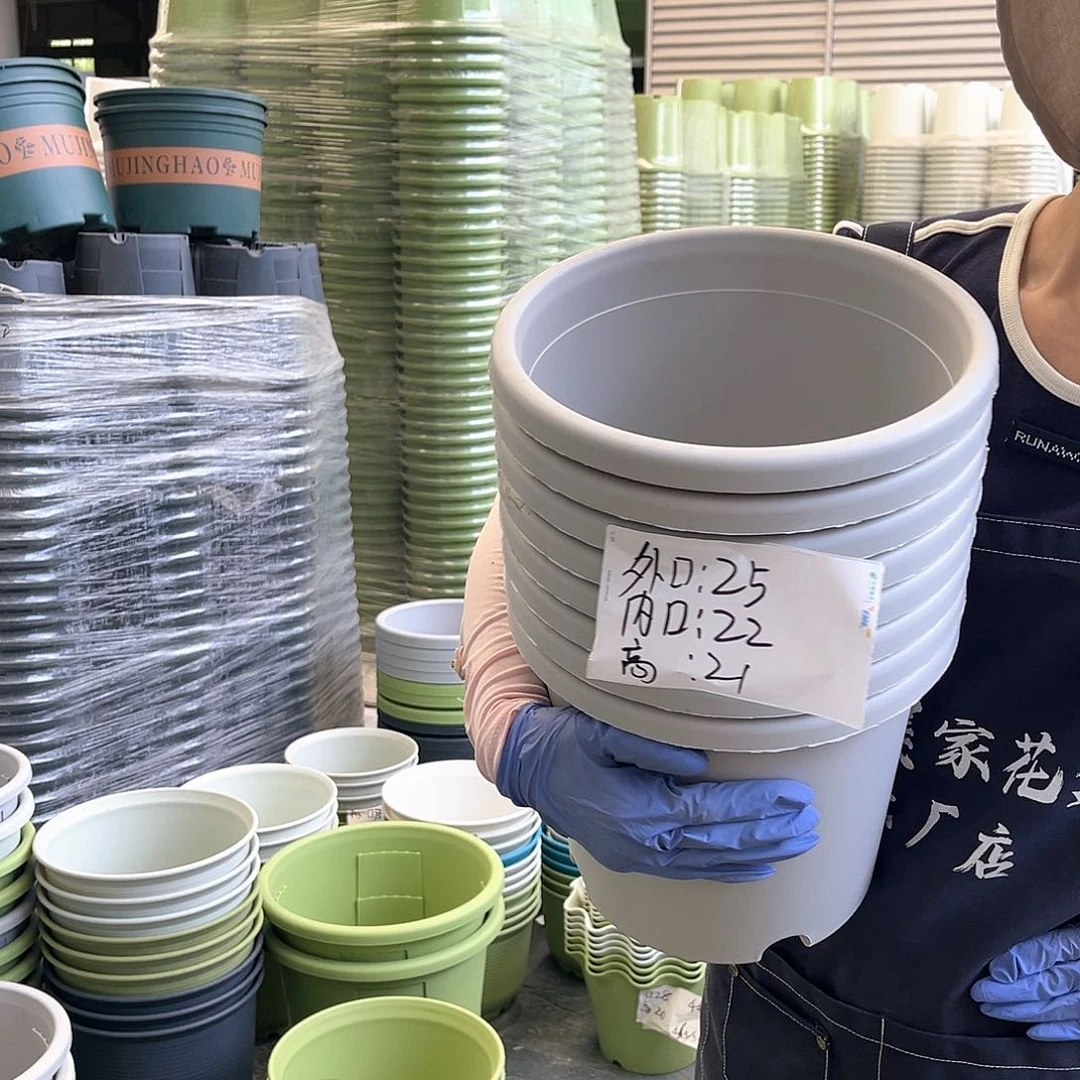 四季盆4#灰白色8个无托