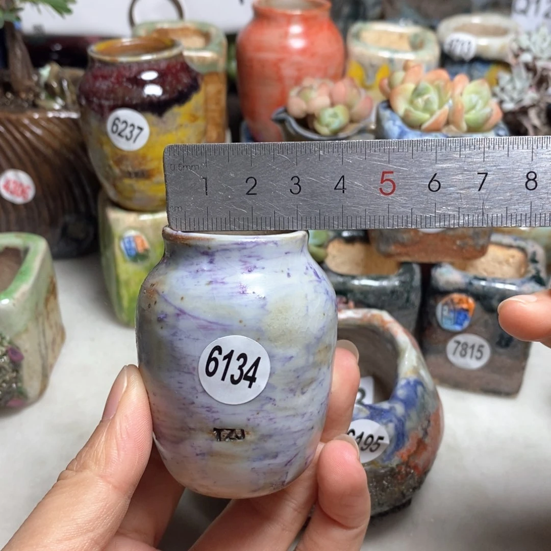 拍5送一个小礼物