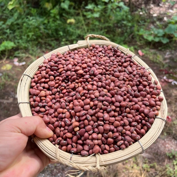 四川广安农家豆类组合饭豆绿豆竹豆巴山豆炖肉熬粥