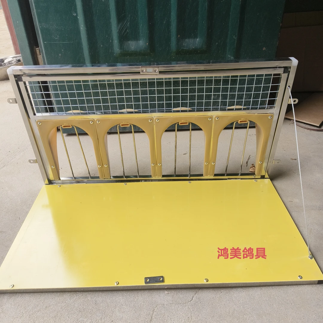 鸽舍进口打开可放飞