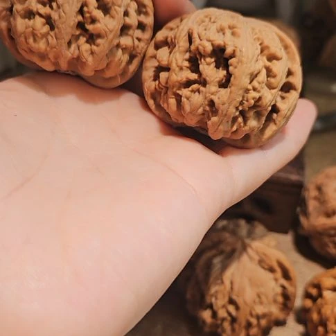 文玩核桃吊坠48粗筋