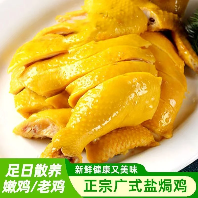 【顺丰】广东梅州盐焗鸡优质散养鸡咸香入味现做现发咸香鸡