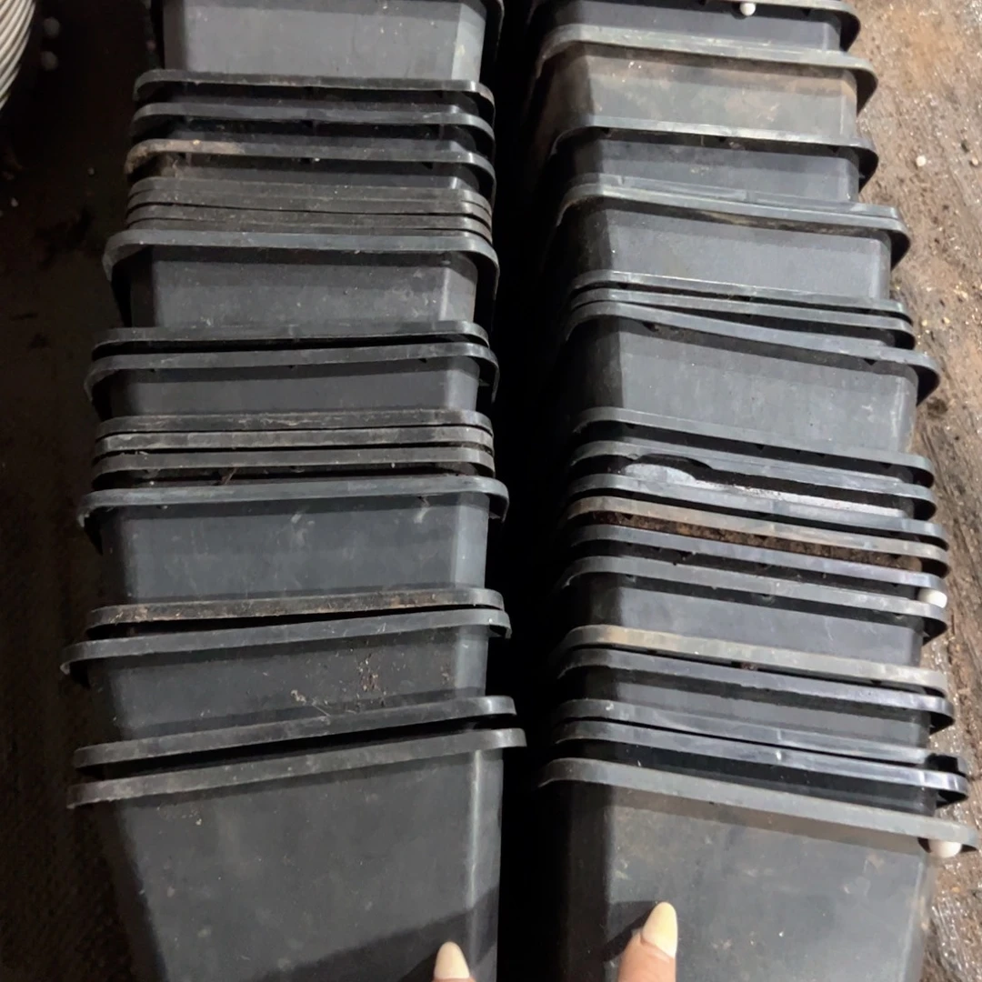 黑方140盆13.5口径10高 15个