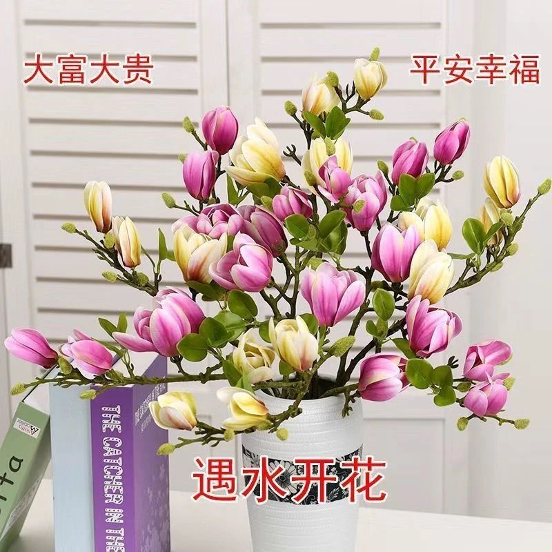 水培玉兰花鲜切枝带花苞室内好养四季开花绿植花卉L