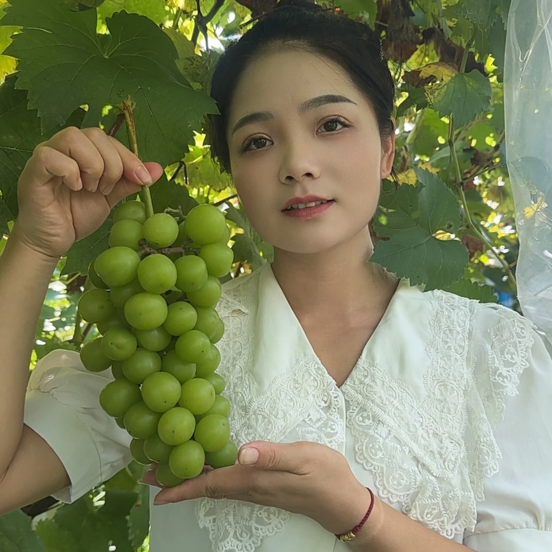 本地葡萄 阳光玫瑰净重5斤 现摘现发 京东包邮