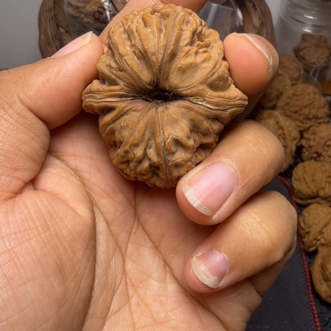 文玩核桃吊坠50尺寸元宝，尖部带黄