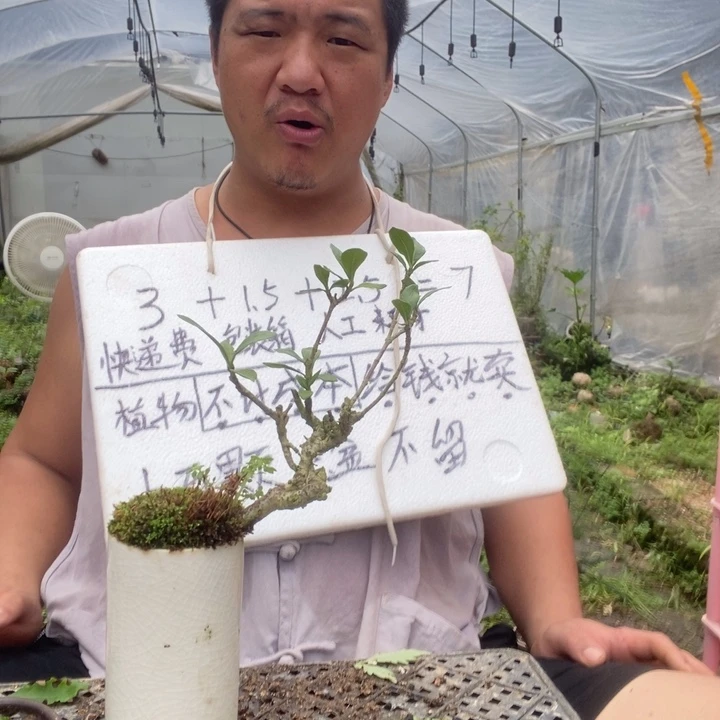 退款拉黑一物一拍99
