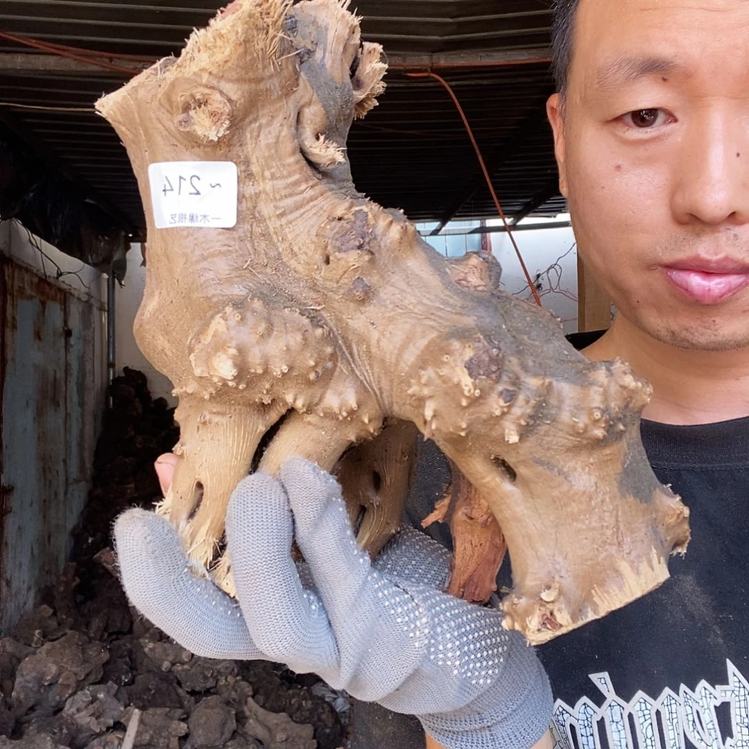 顺***水无花朵0000000000214