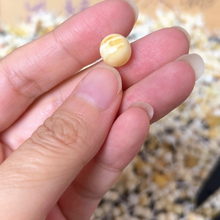 裸石蜜蜡未镶嵌9.5mm一个