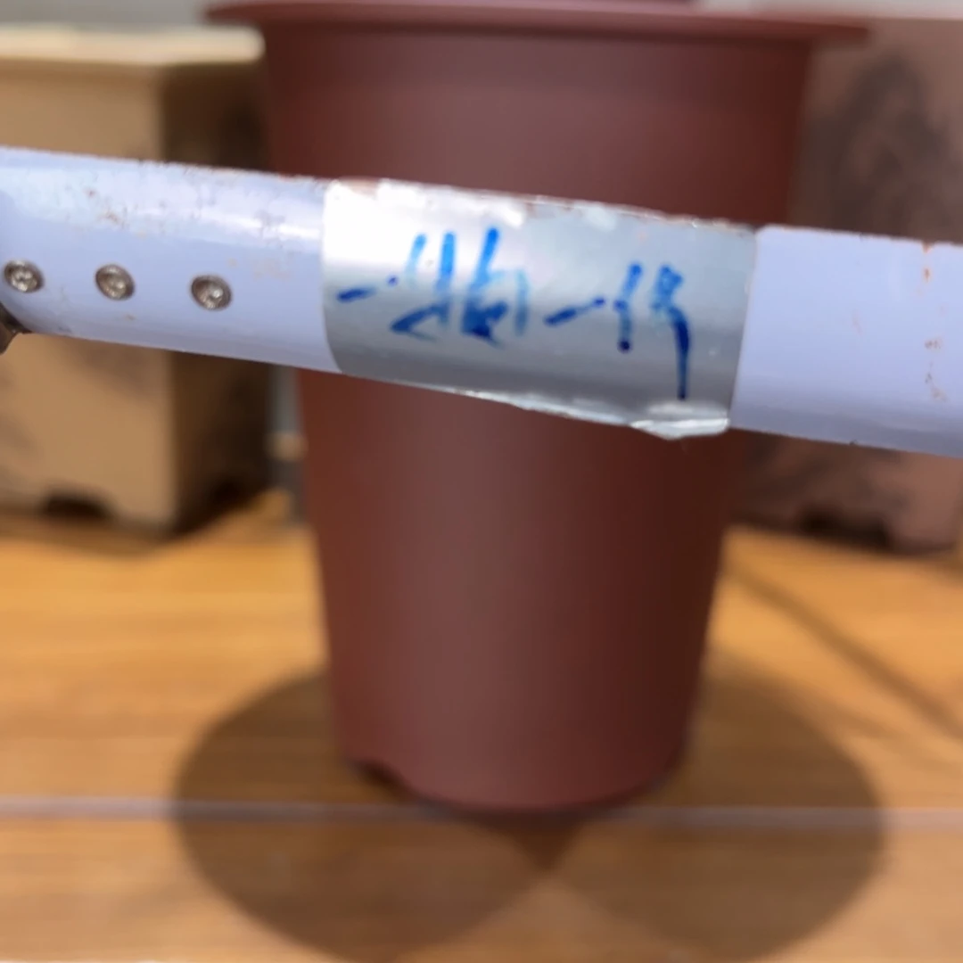 ****在高温正宗手工花盆