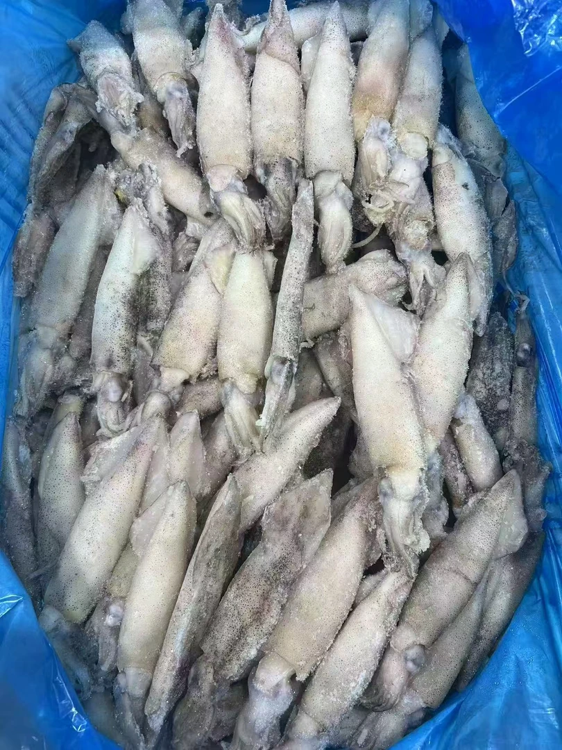大连发货 笔管鱼 (顺丰包邮）