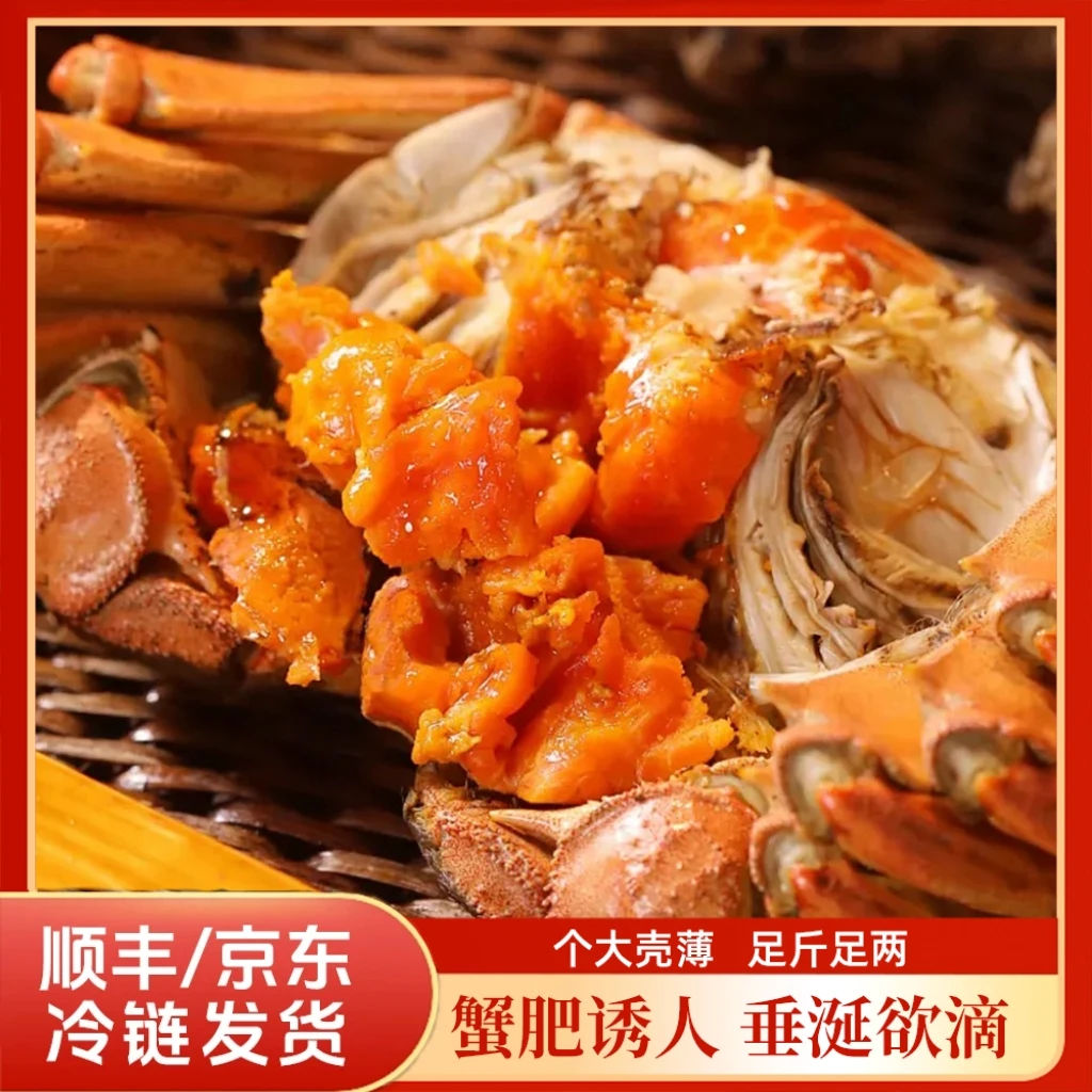 【活蟹现货】江苏鲜活河蟹母蟹2.8-2.5两/只    10只 海鲜 鲜活现捞