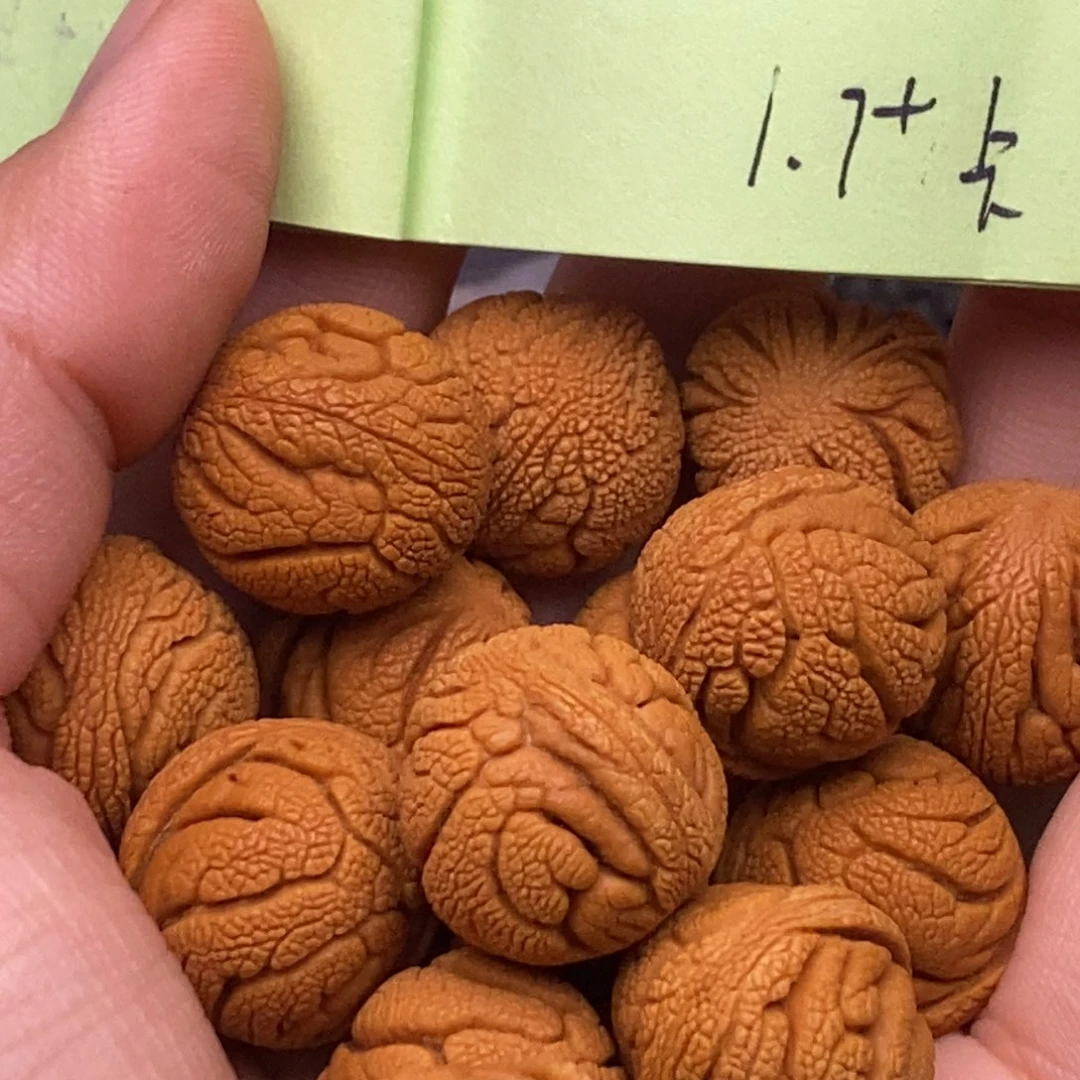 秦岭山脉龙纹桃核 14