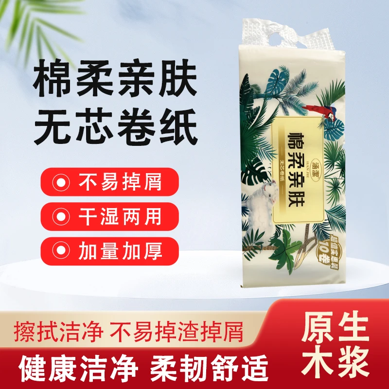 普通卫生纸干湿两用无芯卷纸家用