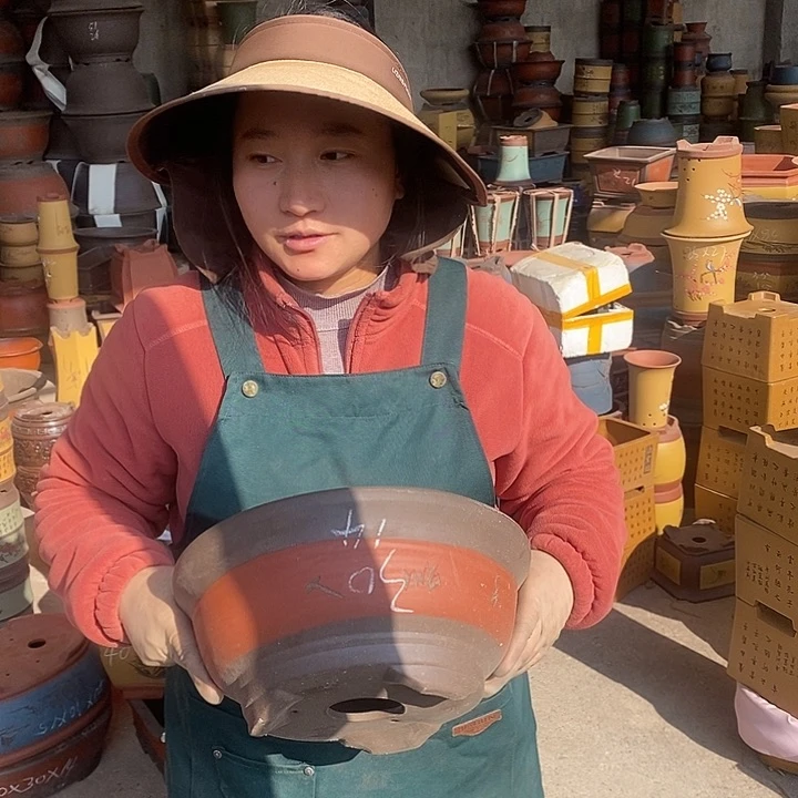 紫砂花盆盆栽花卉苗木种植