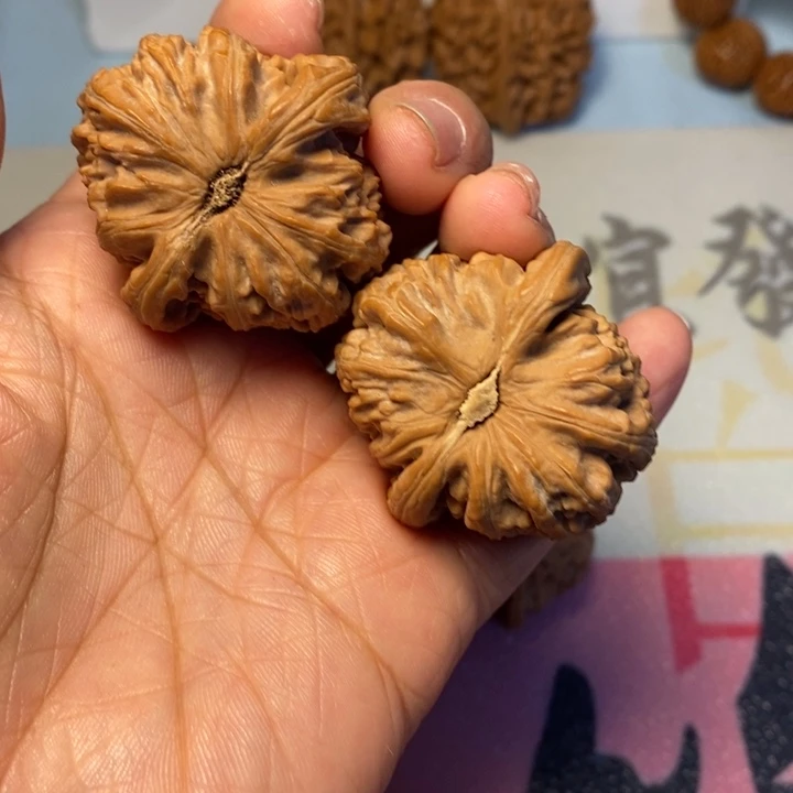 真***是文玩核桃把件白狮子