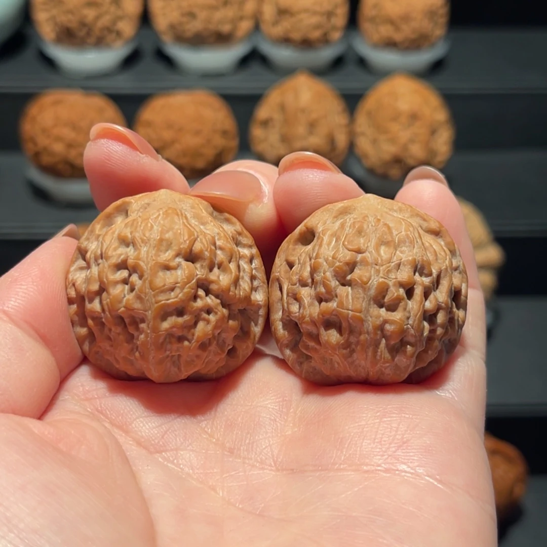 野生，小莲花32精品，全品490