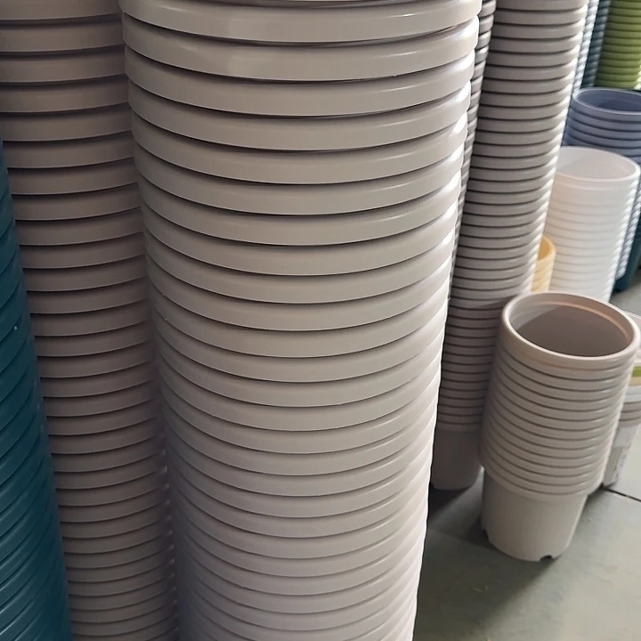 四季5号灰白无托5个