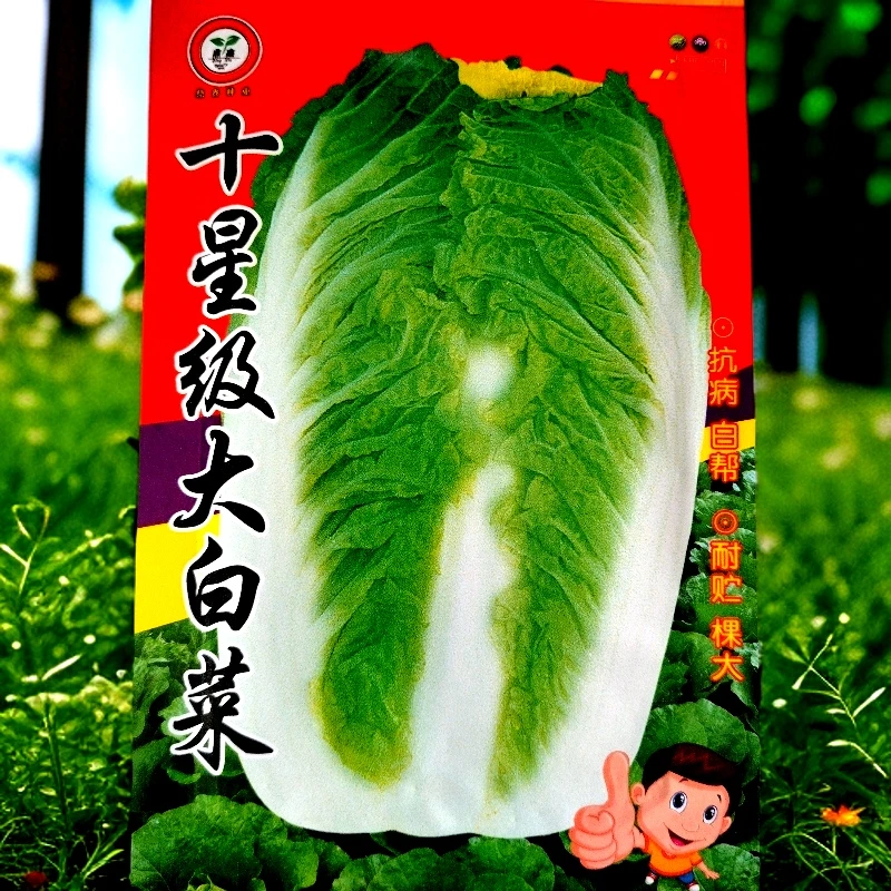 十星级大白菜籽25克左右