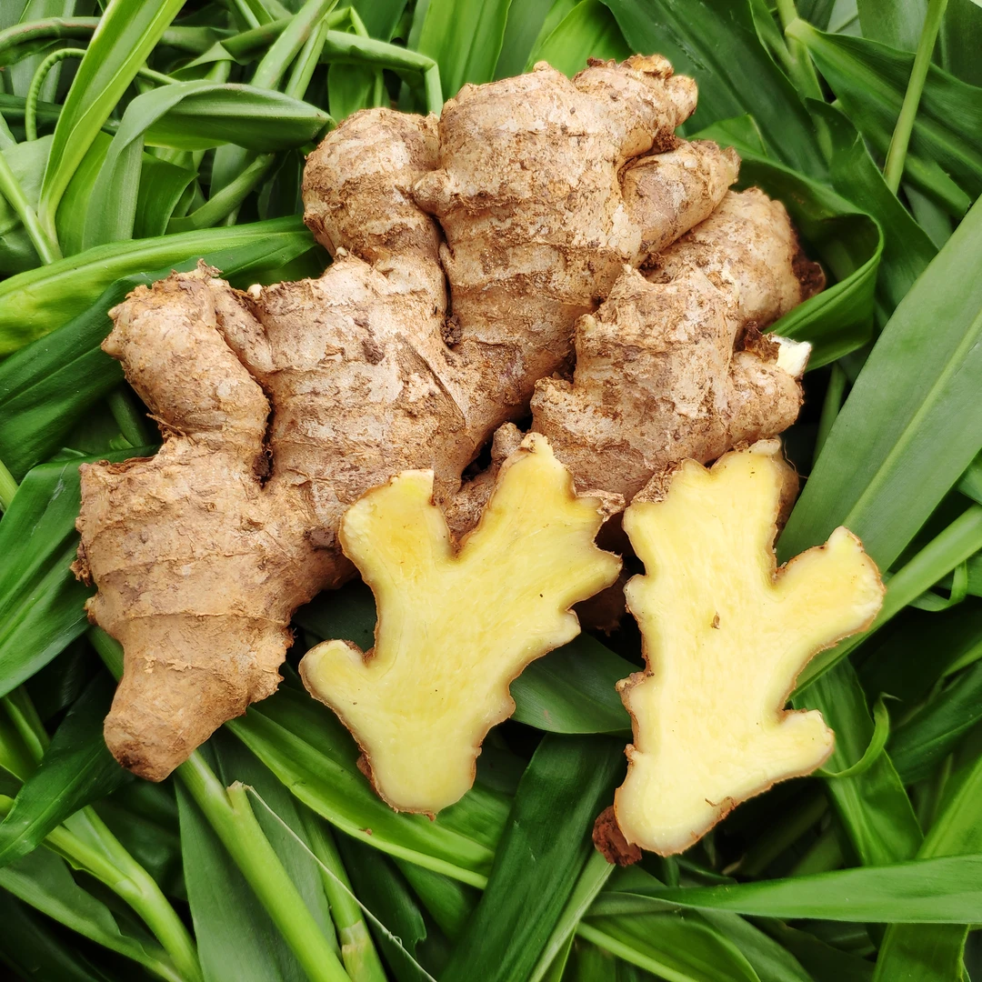 5斤新鲜现挖现发老黄姜大黄姜老姜炒菜泡脚姜丝细腻辛辣十足